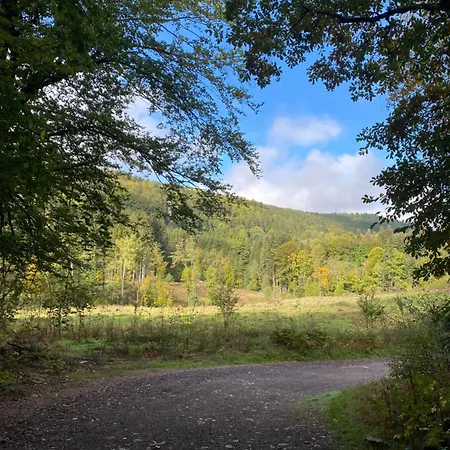 Mishka Chalet Tendon