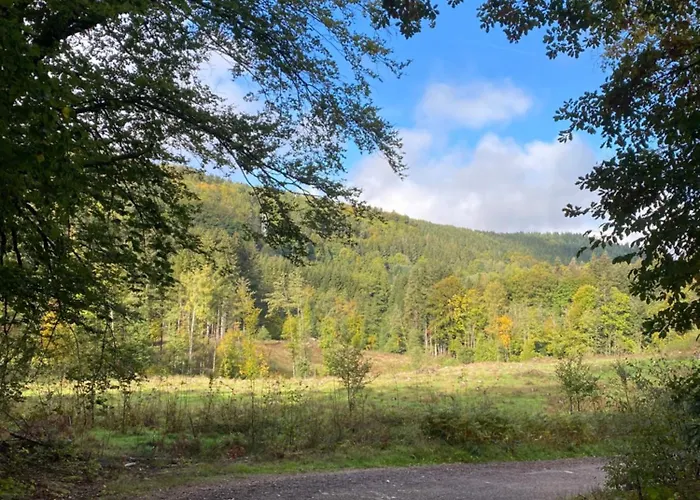 Mishka Chalet Tendon